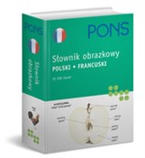 Słownik ob... -  books in polish 