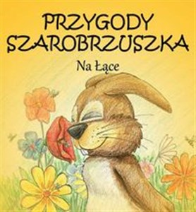 Picture of Przygody Szarobrzuszka Na łące
