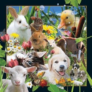 Picture of Pocztówka 3D Farma