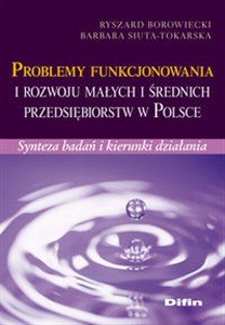 Picture of Problemy funkcjonowania i rozwoju małych i średnich przedsiębiorstw w Polsce Synteza badań i kierunki działania