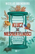 Klucz do n... - Nicklas Brendborg -  Polish Bookstore 