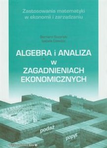 Obrazek Algebra i analiza w zagadnieniach ekonomicznych