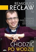 Polska książka : Chodzić po... - Remigiusz Recław