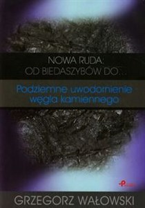 Picture of Nowa Ruda od biedaszybów do Podziemne uwodornienie węgla kamiennego