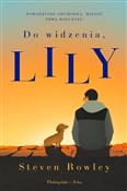 Polska książka : Do widzeni... - Steven Rowley