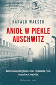 Książka : Anioł w pi... - Harald Walser