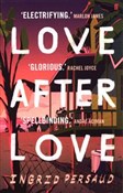 polish book : Love After... - Ingrid Persaud