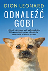 Obrazek Odnaleźć Gobi