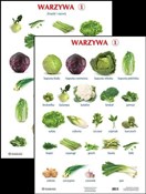 Plansza - ... - Ksiegarnia w UK