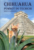 Zobacz : Chihuahua ... - Marta Paszkiewicz