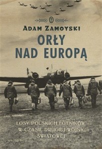 Obrazek Orły nad Europą Losy polskich lotników w czasie drugiej wojny światowej