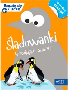 Picture of Śladowanki Rozwijające szlaczki (4+)