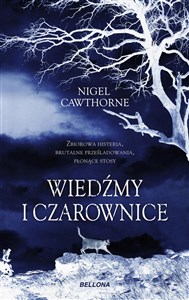 Picture of Wiedźmy i czarownice