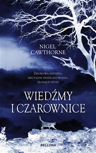 Obrazek Wiedźmy i czarownice