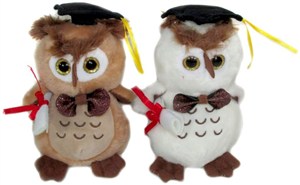 Obrazek Maskotka Sowa absolwent 15cm MIX