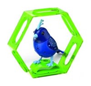 Picture of DigiBirds 3 z ramką Apollo