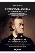 Polska książka : Pieśni Rys... - Friederike Meinel