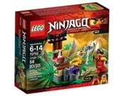 Lego Ninja... - Ksiegarnia w UK