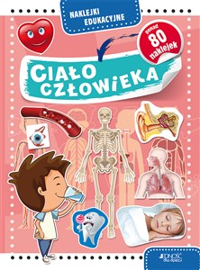 Obrazek Naklejki edukacyjne Ciało człowieka