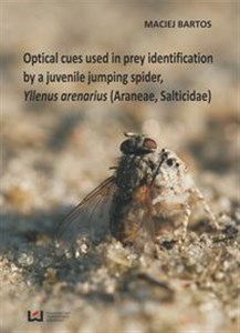 Picture of Optical cues used in prey identification by a juvenile jumping spider Yllenus arenarius