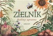 Zielnik Ro... - Małgorzata Garbarczyk, Henryk Garbarczyk -  Polish Bookstore 