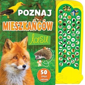 Picture of Poznaj mieszkańców lasu