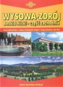 Wysowa Zdr... - Michał Paszkowski -  Polish Bookstore 