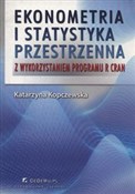 Zobacz : Ekonometri... - Katarzyna Kopczewska