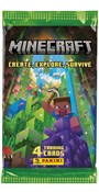 polish book : Minecraft ...