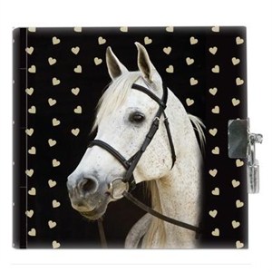 Obrazek Pamiętnik z kłódką Horse