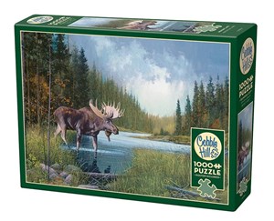 Picture of Puzzle 1000 Spacer nad rzeką G3