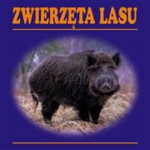 Picture of Zwierzęta lasu