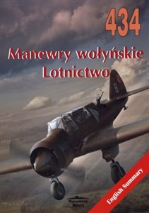 Picture of Manewry wołyńskie Lotnictwo 434