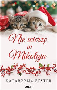 Obrazek Nie wierzę w Mikołaja