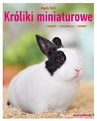 polish book : Króliki mi... - Angela Beck