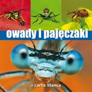 Picture of Owady i pajęczaki