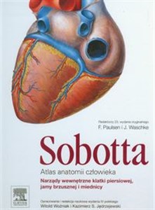 Picture of Atlas anatomii człowieka Sobotta Tom 2