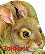 Zajączek - Monika Eisele, Ray Cresswell -  books from Poland