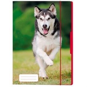 Obrazek TECZKA RYS.A4 Z GUM.PIES