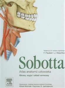 Picture of Atlas anatomii człowieka Sobotta Tom 3
