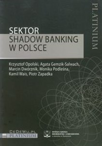 Obrazek Sektor Shadow banking w Polsce