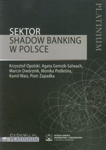 Picture of Sektor Shadow banking w Polsce