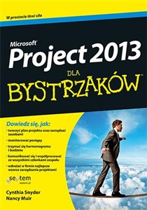 Picture of MS Project 2013 dla bystrzaków