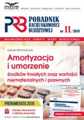 Amortyzacj... - Izabela Motowilczuk -  books from Poland