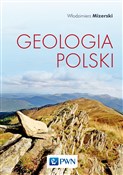 Geologia P... - Włodzimierz Mizerski -  books in polish 