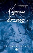 Kamienne d... - Grzegorz Bobin -  foreign books in polish 