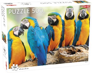 Obrazek Puzzle Parrots 500