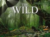 The Wild - Claudia Martin -  Polish Bookstore 