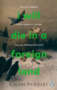 Picture of I Will Die in a Foreign Land
