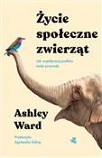 Życie społ... - Ashley Ward - Ksiegarnia w UK